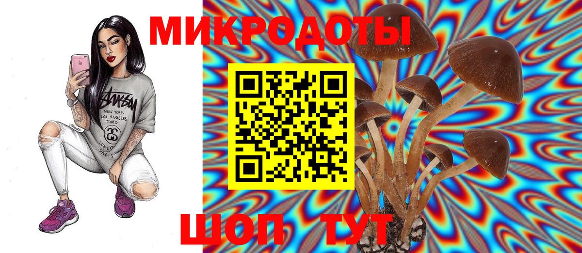 где купить наркоту  Вход с VPN  Североморск  Псилоцибиновые грибы GOLDEN TEACHER 